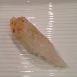 鮨匠 のむら - きじはた