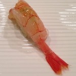 鮨匠 のむら - 錦江湾の並管髭海老(ナミクダヒゲエビ)