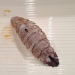 鮨匠 のむら - 蝦蛄