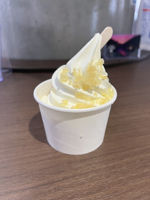 鶴岡市立加茂水族館 売店・羽前大山レストランの魅力とおすすめメニュー | 家族で楽しめる海の味