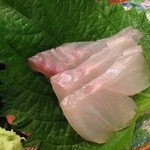 鮨匠 のむら - きじはた