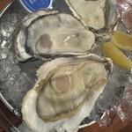 Spanish&Italian REGARIO - 