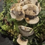 Spanish&Italian REGARIO - 