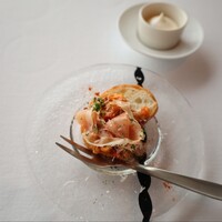 ツキ シュール ラメール - 