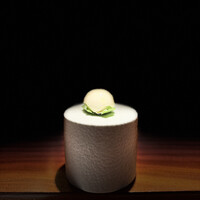 TACUBO - 