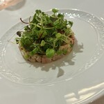 292283227 - サワラのバットュータ