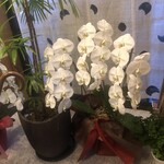 とんかつ石ばし - 