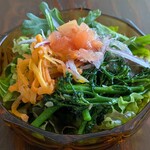 ヒキカフェ - 野菜は新鮮で彩りも鮮やか♪