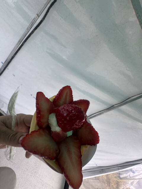 Matsuo Kanko Noen photo 5