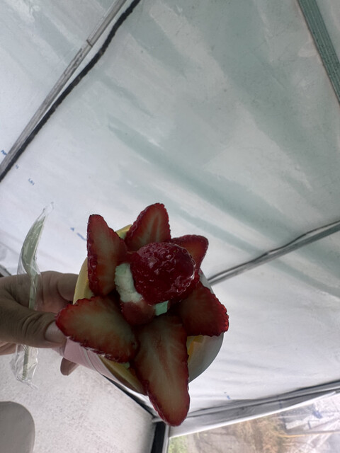 Matsuo Kanko Noen photo 2