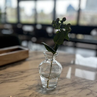 Botanico扇町公園 - 