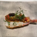 カンテサンス - 