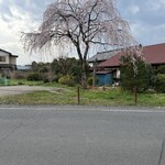 中華そば専門 とんちぼ - とんちぼさんから5分くらい走ったコンビニで休憩。
      
      その横で桜が見事に咲いてました！