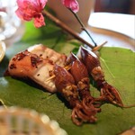 伊藤家のつぼ - 