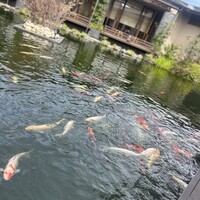 鉄板・懐石 くら馬 -  鉄板・懐石 くら馬 -