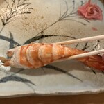 亀すし - 海老、大きい。