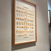 AWkitchen figlia 渋谷スクランブルスクエア - 