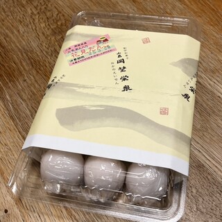 小岩 岡埜栄泉_0