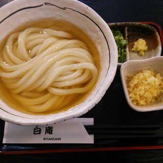 讃岐うどん 白庵