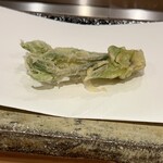 天婦羅くすのき - コシアブラ