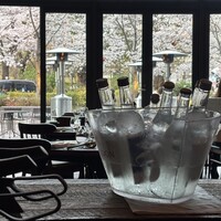 ユニオン スクエア トウキョウ - 花見にはやっぱりココ