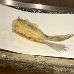 天婦羅くすのき - 本めごち