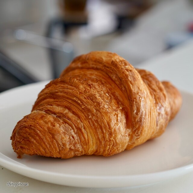 BURDIGALA Hiro Honten