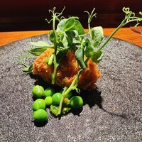 TACUBO - 