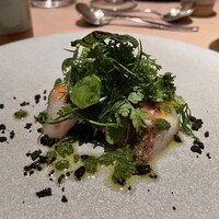 ARMONICO - 