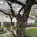 総本家更科堀井 - さくらさく