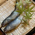Gokigen San - 
