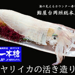 海の見えるカウンター寿司 鮨屋台 - 