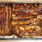 うな新 - うな重(特上) ¥3400