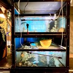 大衆割烹 大黒 - 