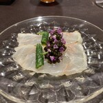 イル アオヤマ - 