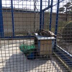 手打うどん　源内 - 