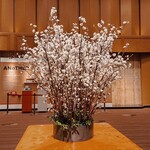 パークサイドダイナー - 正面はちょうど飾り付けていて撮れなかったので駐車場側のロビーの桜