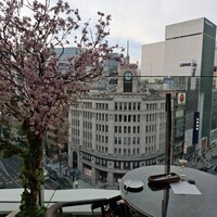 CADRAN - 特等席じゃないですかー( 〃▽〃)♥