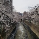 ラーメン巌哲 - 公式X画像でもあるお店近くの神田川の桜