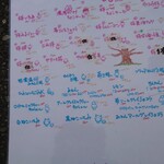 ひみつ堂 - 総メニュー 拡大