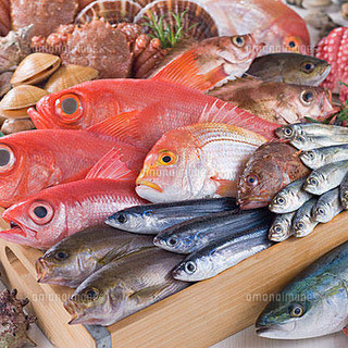 Fresh fish delivered daily from all over the country