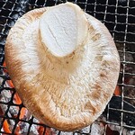 ろばたやき山ろく - 生椎茸　中