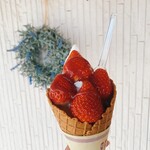 あさむらいちご園 - ストロベリー 420円