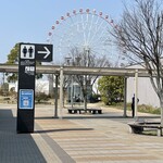 和麺 かきつばた - 