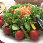 Esukarugo Bokujou - 有機野菜のサラダ。
                      パセリがとても美味しい！！！