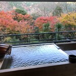 箱根吟遊 武蔵野本館 - 