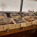 アシッドラシーヌ - 