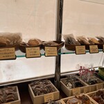 アシッドラシーヌ - 