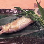 日本料理 たかむら - 2014/07　吉野川の鮎！