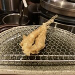 天ぷら こばし - 